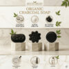 Organic charcoal soap variety with Activated Charcoal, Alpha Arbutin, and Hyaluronic Acid.
