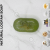 ingle oval green natural loofah soap with leaf design and coconut base.