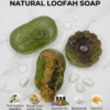 Natural loofah soap collection with ingredients like Niacinamide and Vitamin E.